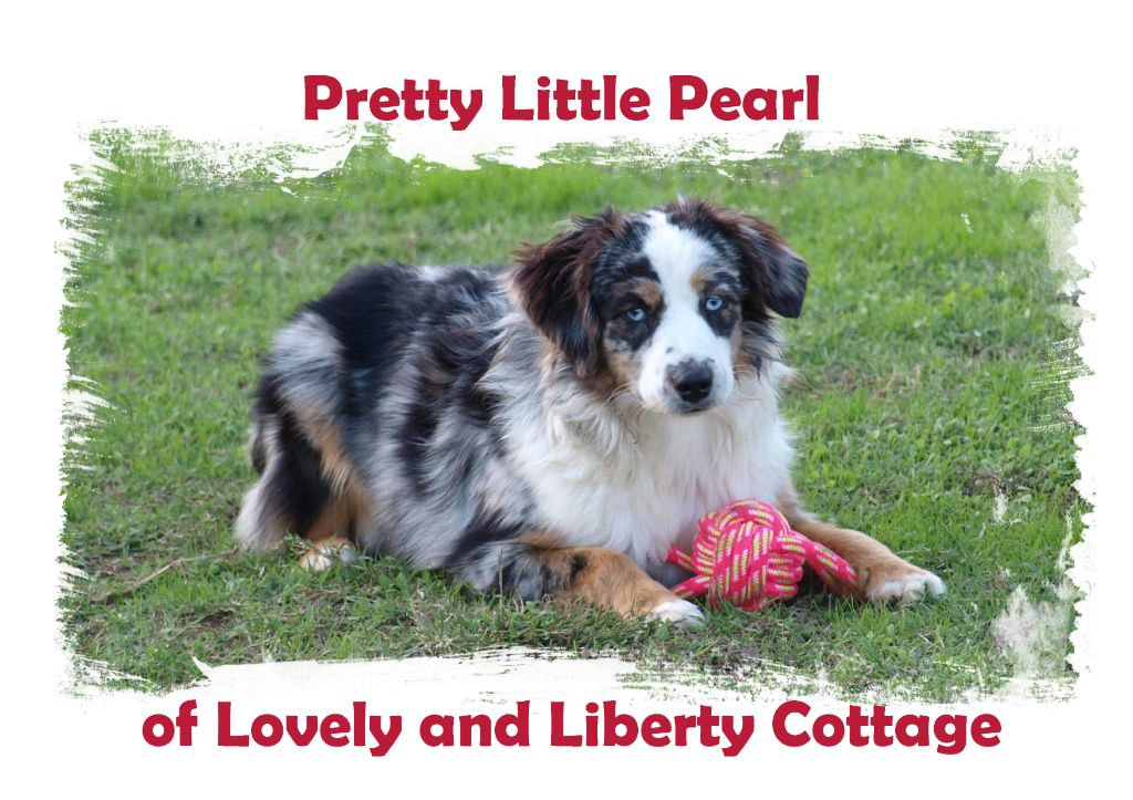 Pretty little pearl of Lovely And Liberty Cottage